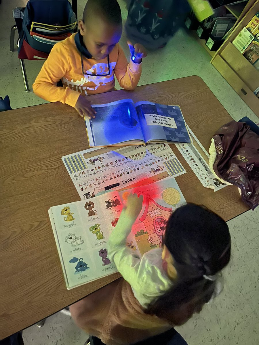 Abbi Davis tweet media