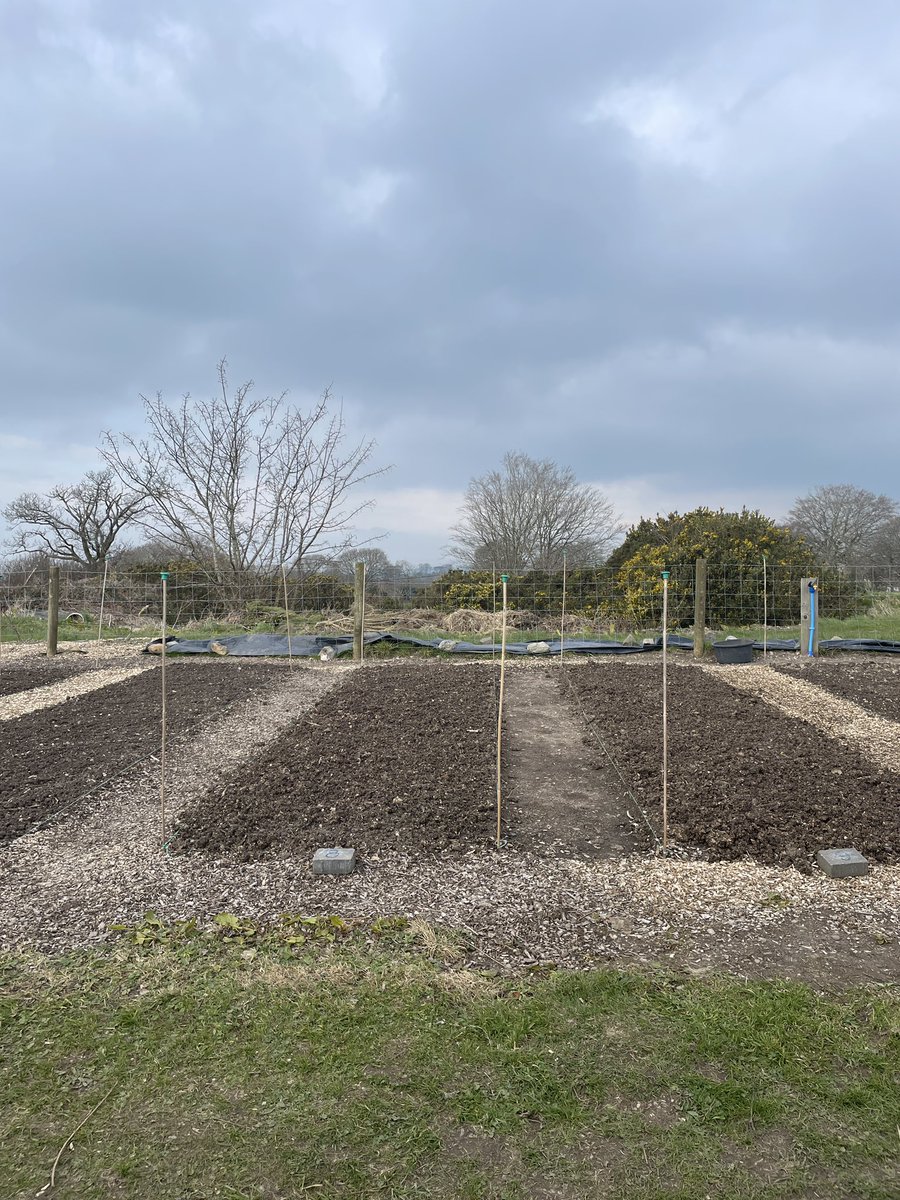 davewarehouse's tweet photo. #viewfromthebench
Going to put 3 photos up as the year rolls by which will be the view from my new bench
1st 3 today to get started
If you have a plot bench why not join me and share your view
Not everyday but enough to show the seasons changing
#GardeningTwitter #Homeallotment https://t.co/jGs77wtAYa