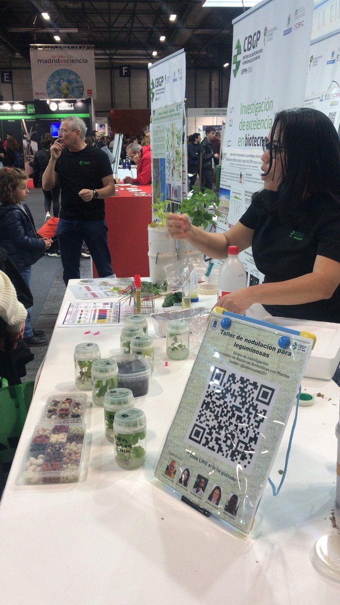 INIA_es's tweet photo. Mucho ambiente está tarde en el taller de nodulación de leguminosas  #MadridEsCiencia @CBGP_Madrid @desousabfs https://t.co/rUbcSL3hEx