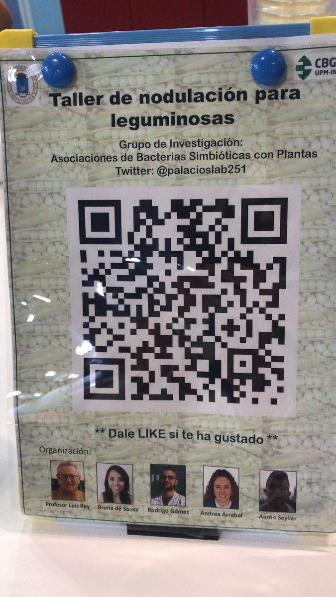 Mucho ambiente está tarde en el taller de nodulación de leguminosas  #MadridEsCiencia <a href="/CBGP_Madrid/">CBGP</a> <a href="/desousabfs/">Bruna de Sousa</a>