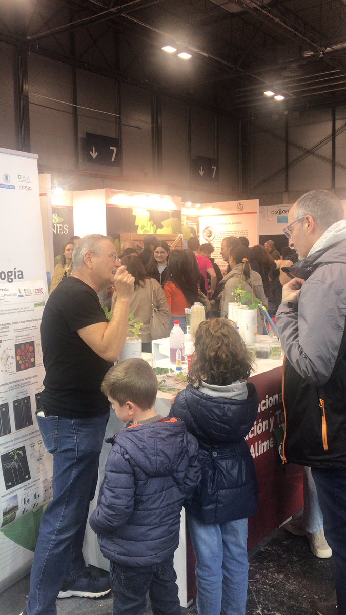 INIA_es's tweet photo. Mucho ambiente está tarde en el taller de nodulación de leguminosas  #MadridEsCiencia @CBGP_Madrid @desousabfs https://t.co/rUbcSL3hEx