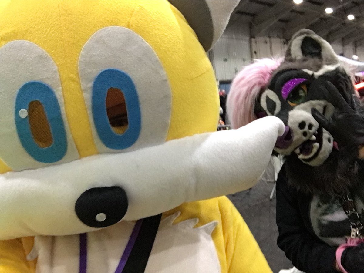 NeverColoV1's tweet photo. Seen @Lou_Raccoon for the first time in my Fursuit Adventures at #ExeterComicCon via #UKCGF. https://t.co/t9ytvA11GV