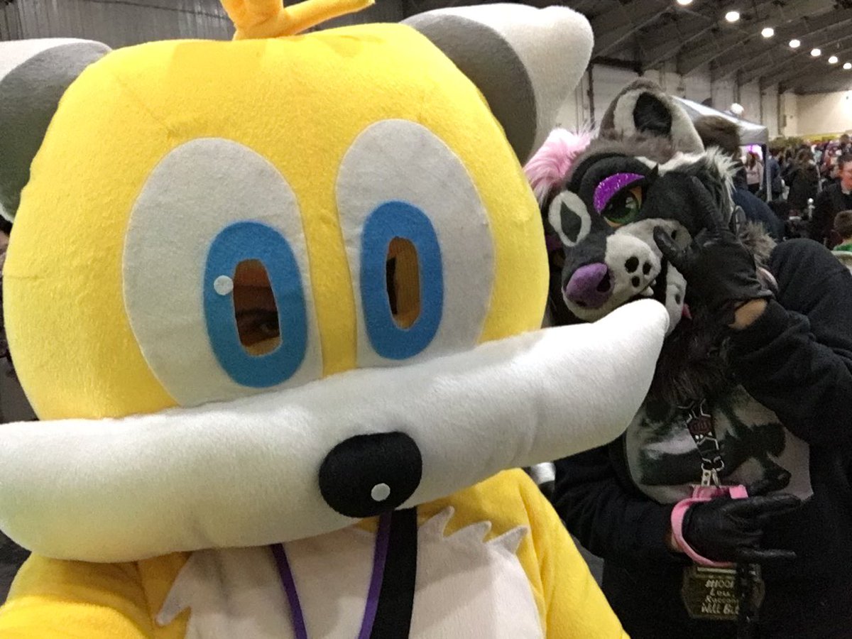 NeverColoV1's tweet photo. Seen @Lou_Raccoon for the first time in my Fursuit Adventures at #ExeterComicCon via #UKCGF. https://t.co/t9ytvA11GV