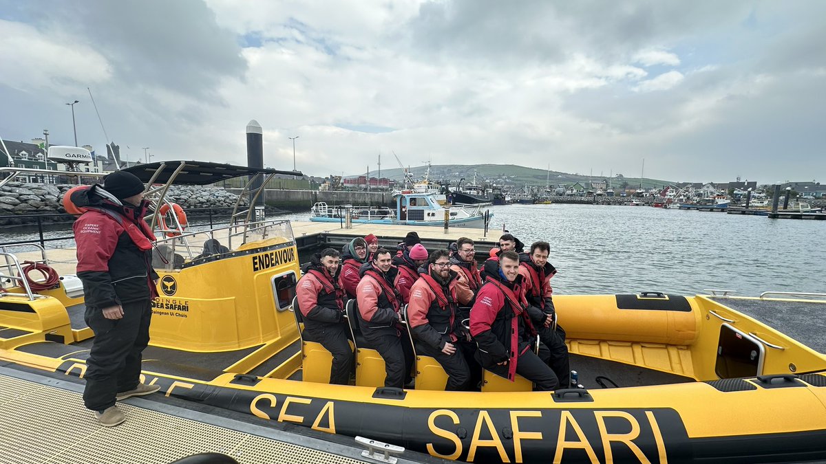 We were back out on the water today with a private group tour! We’ve availability tomorrow & Monday onboard ~ dingleseasafari.com #dinglepeninsula #dingleseasafari #corcadhuibhne #kerry #bestinireland