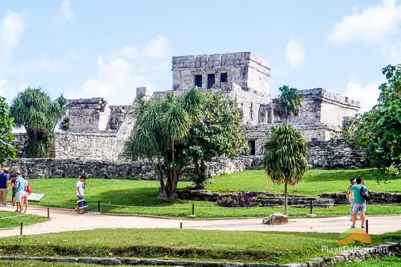 🌴🗿 Dive into the past at #Tulum's Mayan ruins perched above turquoise seas. Beyond the ancient walls, adventure awaits: snorkel in cenotes, zip-line through the jungle, and kayak along the coast. Uncover history, embrace adventure! #ExploreMexico #ArchaeoAdventures 🏊‍♂️🛶🌞