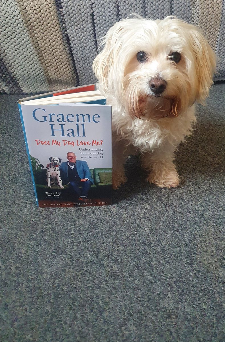 <a href="/GraemeDogfather/">Graeme Hall</a> Graeme my mam says I'm the best westiepoo in the world and loves her mothers day present 🎁😛😊 we cant wait to read it🐶🙂📖