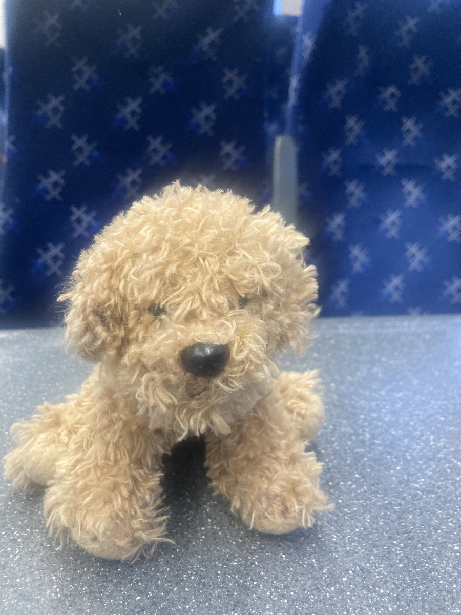 Anyone forget this little one on the <a href="/BordersRailway/">Borders Railway</a> this afternoon? Now being looked after by the nice people of <a href="/ScotRail/">ScotRail</a>