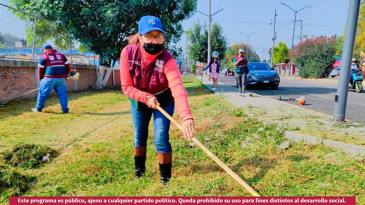 Todos_Somos_PC's tweet photo. ¡Ya es tradición! ☺️

Intervenimos los espacios de nuestra comunidad con #SábadoDeTequio.🌳🧹

¡Acércate! 🙋🏻‍♂️🙆🏻‍♀️ https://t.co/zoHtgDtSbO