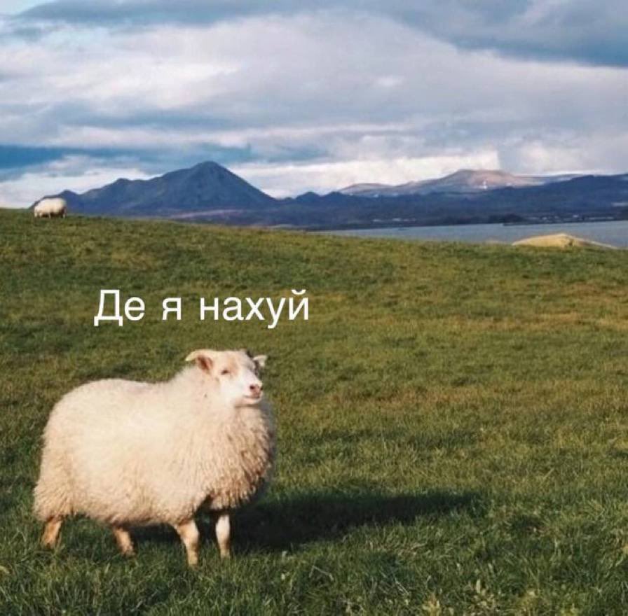 бидляцьке східло tweet media