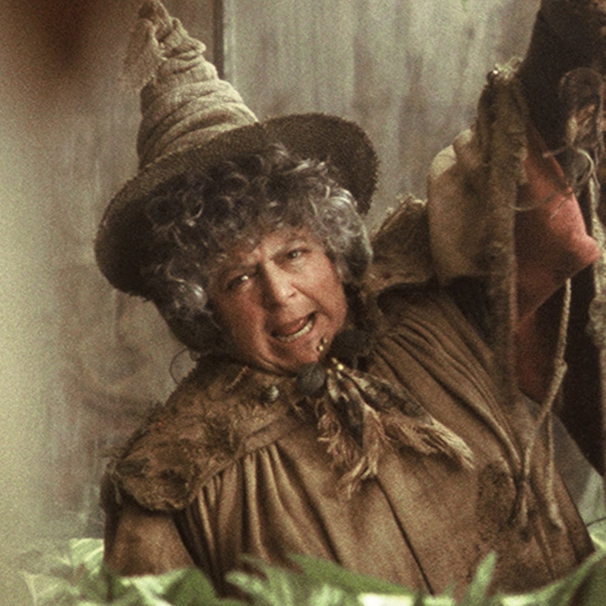 Miriam Margolyes, the actress who played Professor Sprout in ‘Harry Potter,’ says she’s worried about adults who are still obsessed with the series:

“It was 25 years ago and it’s for children.”