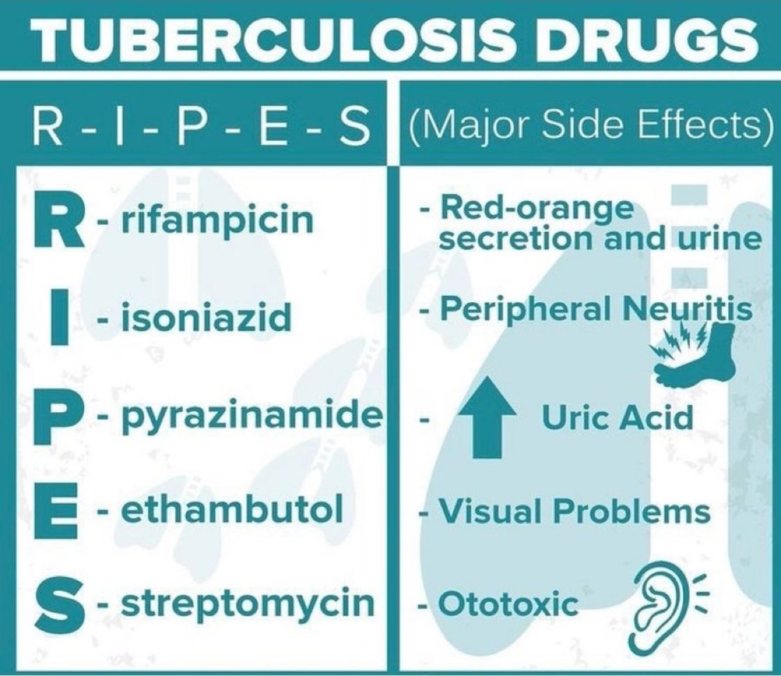 DrPharmDMDTh's tweet photo. Tuberculosis Drugs https://t.co/6cT6F8jqEd