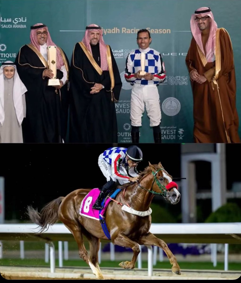 AlsharifStable's tweet image. للعام الثاني على التوالي الجواد نجيب الزمان بطلاً لميدان الملك عبدالعزيز للخيل العربيه في انتصار رائع يتبعه اخيه بارز من اسطبلنا في المركز الثاني تحت تدريب المدرب الرائع عبدالعزيز الموسى وقيادة الخيال المبدع كاميليو اوسبينا .