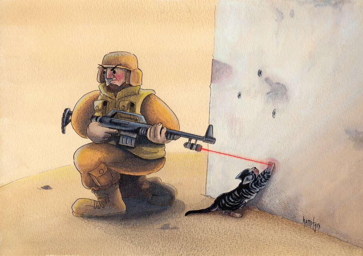 Hamit GIŞ tweet media