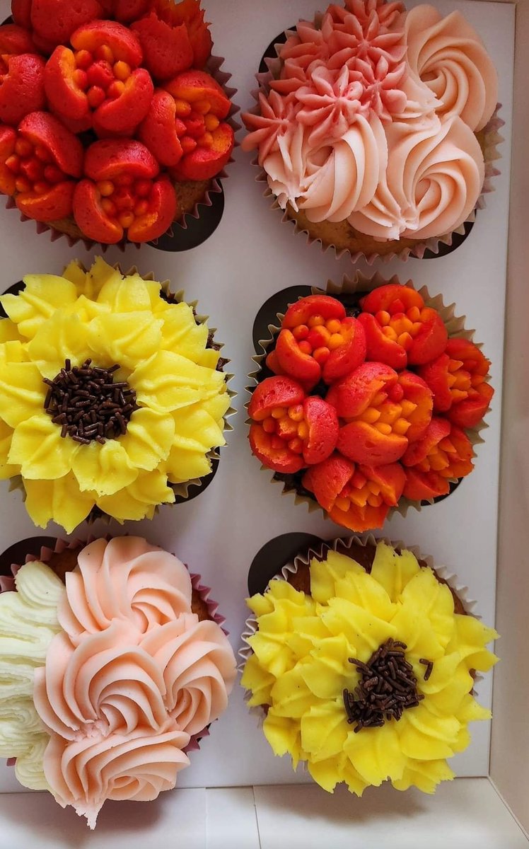 Hayley's Cake Box tweet media