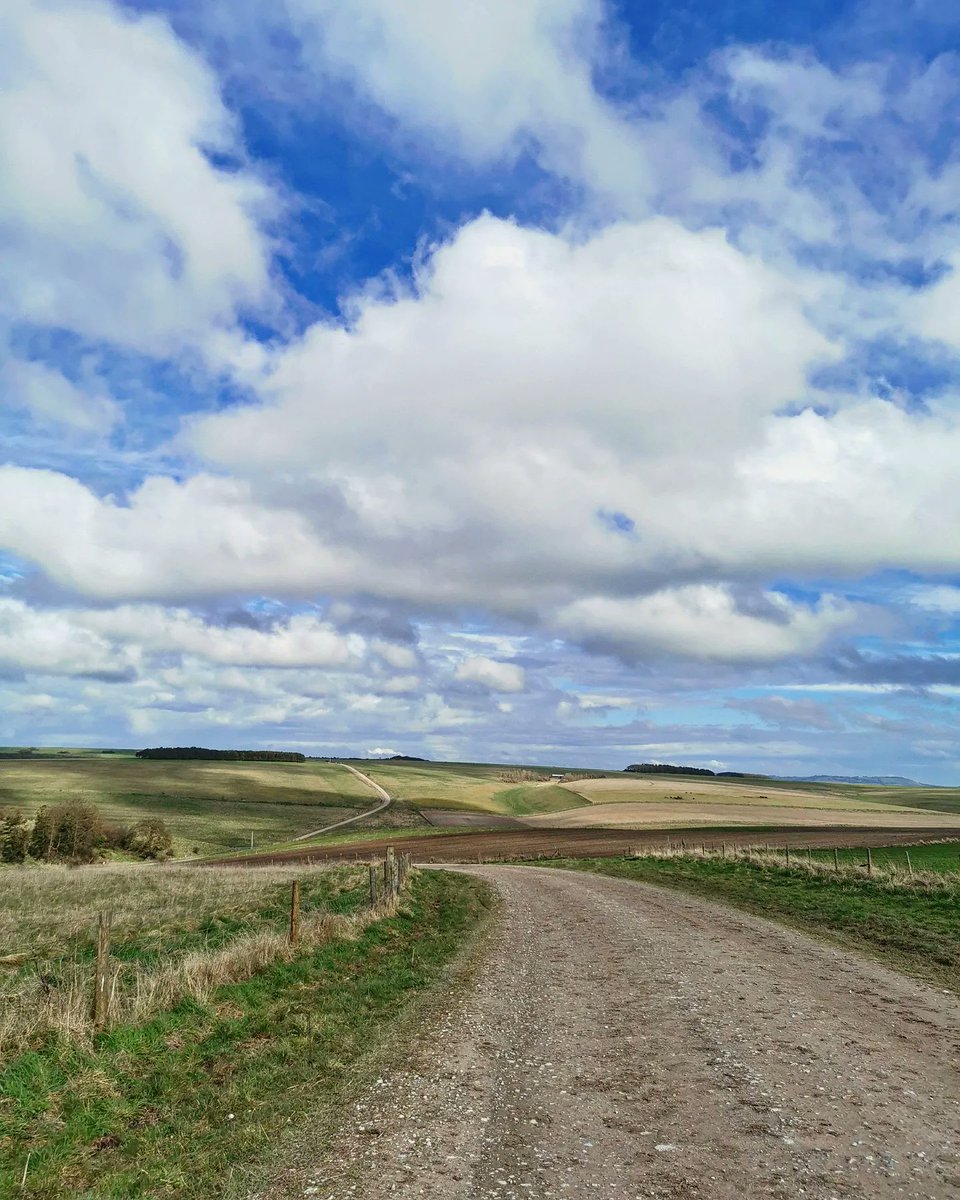 Rebecca Spence tweet media