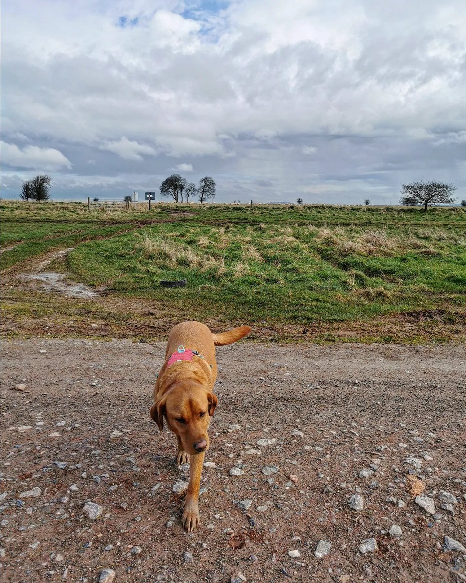 Rebecca Spence tweet media