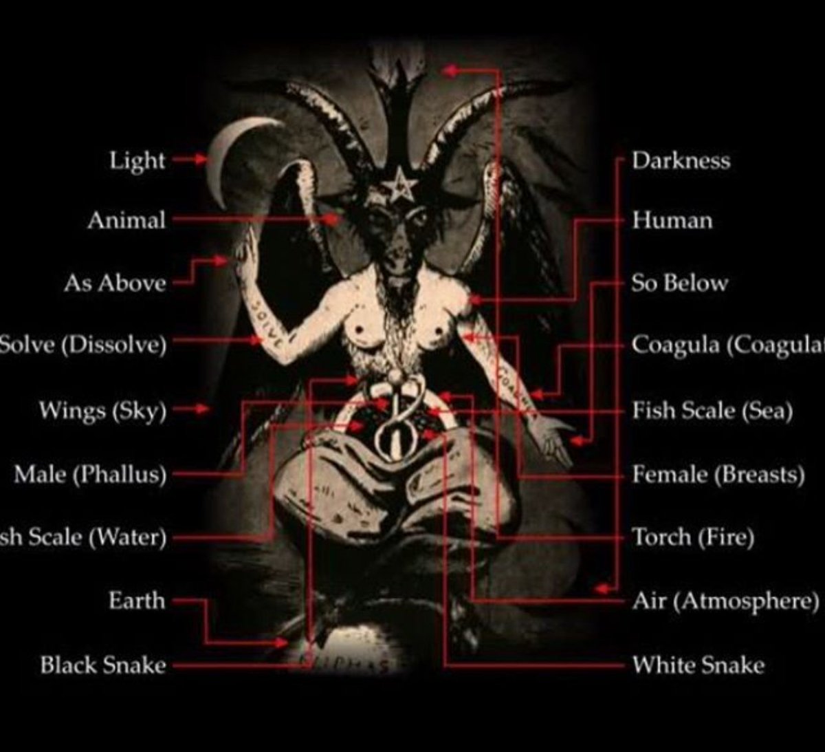 G11Sven's tweet photo. @MarleenJansen5 Man omgebouwd tot vrouw. #MtoF en #FtoM zijn 'heel gewoon' in oa elitaire kringen. Dit soort dubbelslachtigheid slaat ook nog op hun hermafrodiete afgod Baphomet: https://t.co/bZ0QcWBltr
