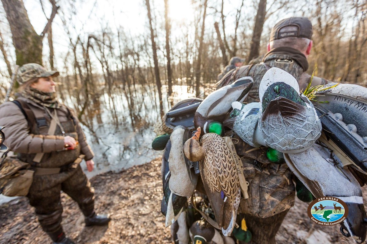 Arkansas Game and Fish Commission tweet media