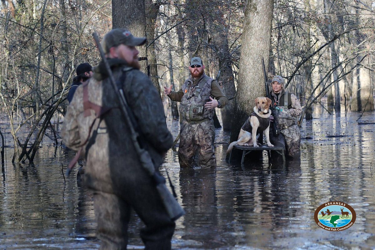Arkansas Game and Fish Commission tweet media