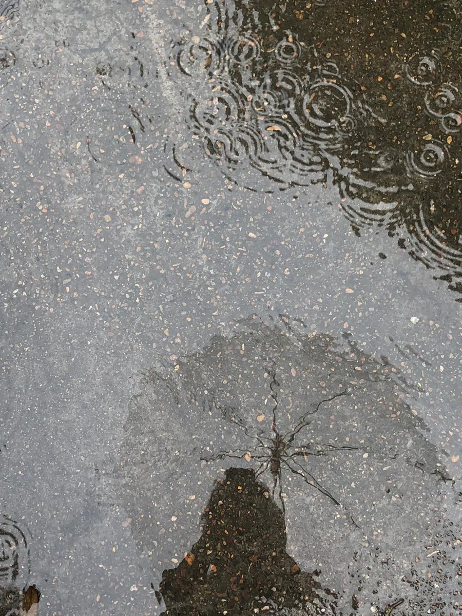 IamAttaBaloch's tweet photo. You won't be stuck in the rain all the time
The days when you hold an umbrella alone should go smoothly #healingrainydays https://t.co/T0RLj165Ex