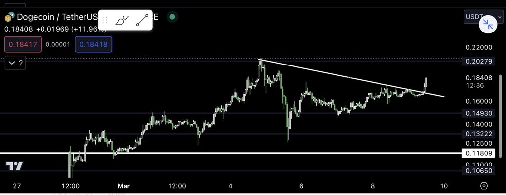 CryptoGodJohn's tweet photo. $DOGE weekend ✅ https://t.co/7Wb1i8WSxz