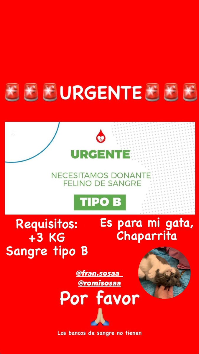 Si pueden ayudar fran con su gatita 

<a href="/_Fran_Sosa/">Fran</a>