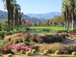 The Thunderbird Country Club Golf Course in the greater Palm Springs area of Rancho Mirage California has the fairest fairways in all the world! ⛳️🏌‍♀️⛳️ 
#ThunderbirdCountryClub #RanchoMirage #PalmSprings