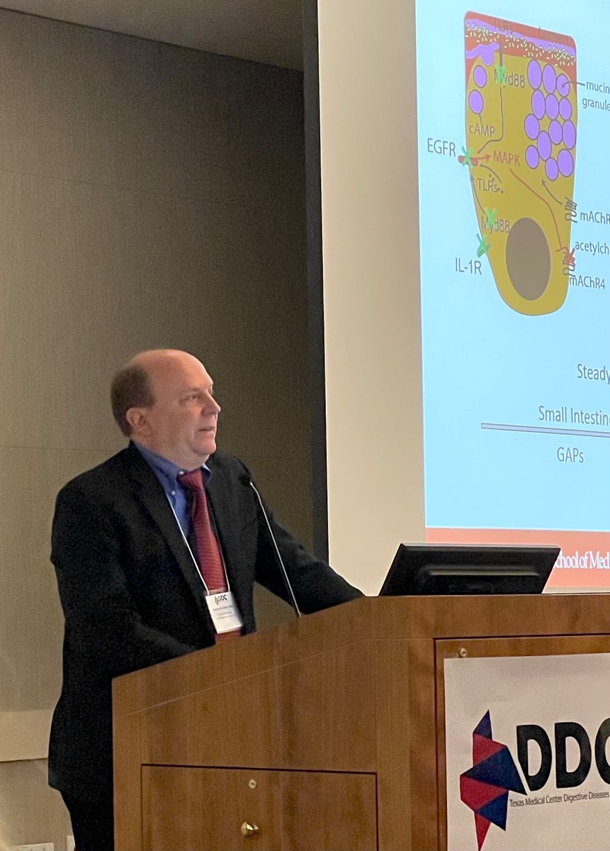 TMC Digestive Diseases Center (@tmcddc) on Twitter photo Dr. <a href="/newberrylab/">newberrylab</a> explores the relationship of #gobletcells and #iNKT cells with the #immune system in the intestines! Not only that, but he further discusses his #giresearch about the #microbiome in the gut Dr. <a href="/newberrylab/">newberrylab</a> explores the relationship of #gobletcells and #iNKT cells with the #immune system in the intestines! Not only that, but he further discusses his #giresearch about the #microbiome in the gut