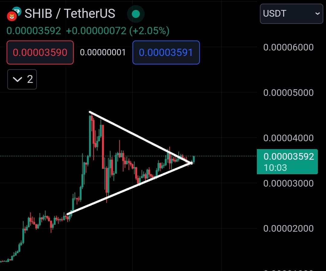 $SHIB KNIGHT tweet media