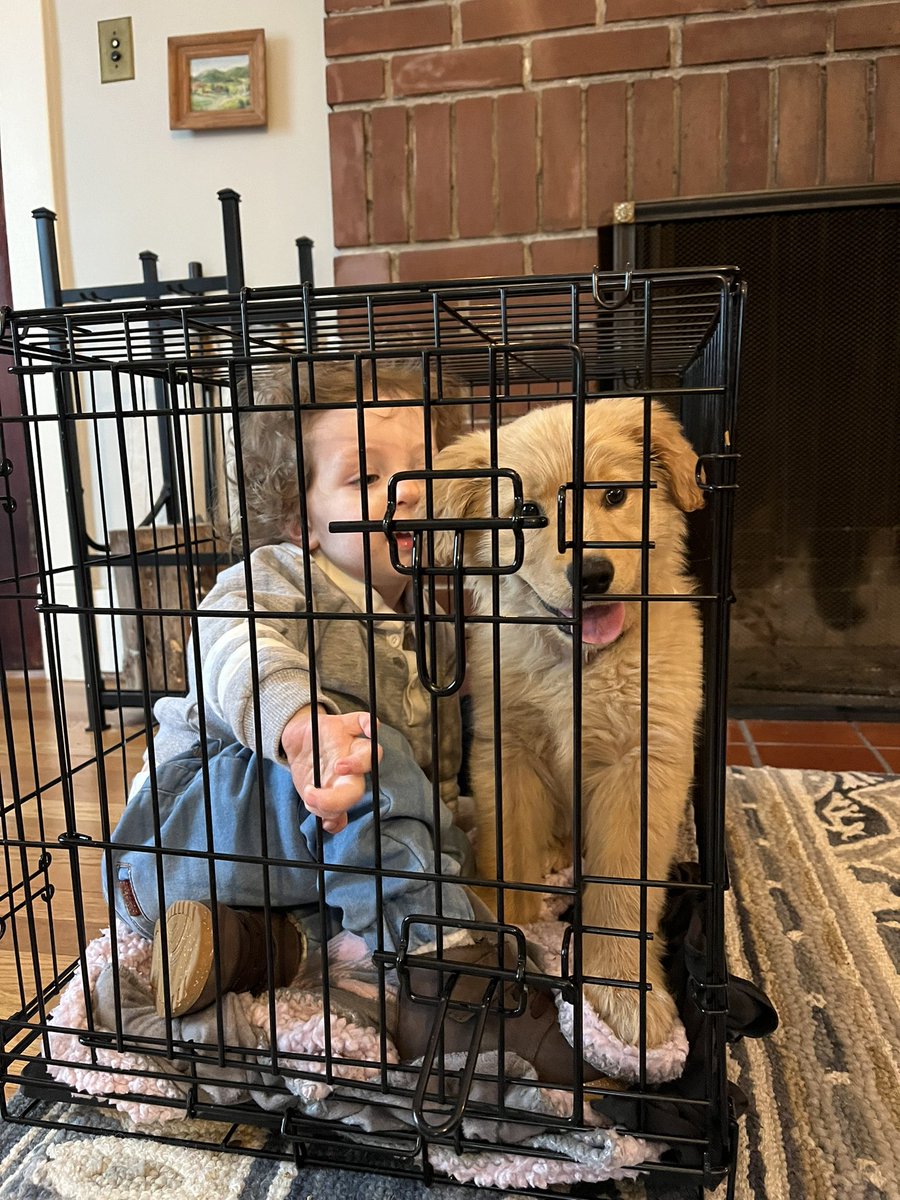 katesgannon's tweet photo. Everyone say hi to Laney 💕 max’s new bestie https://t.co/tpJlrRJLdA