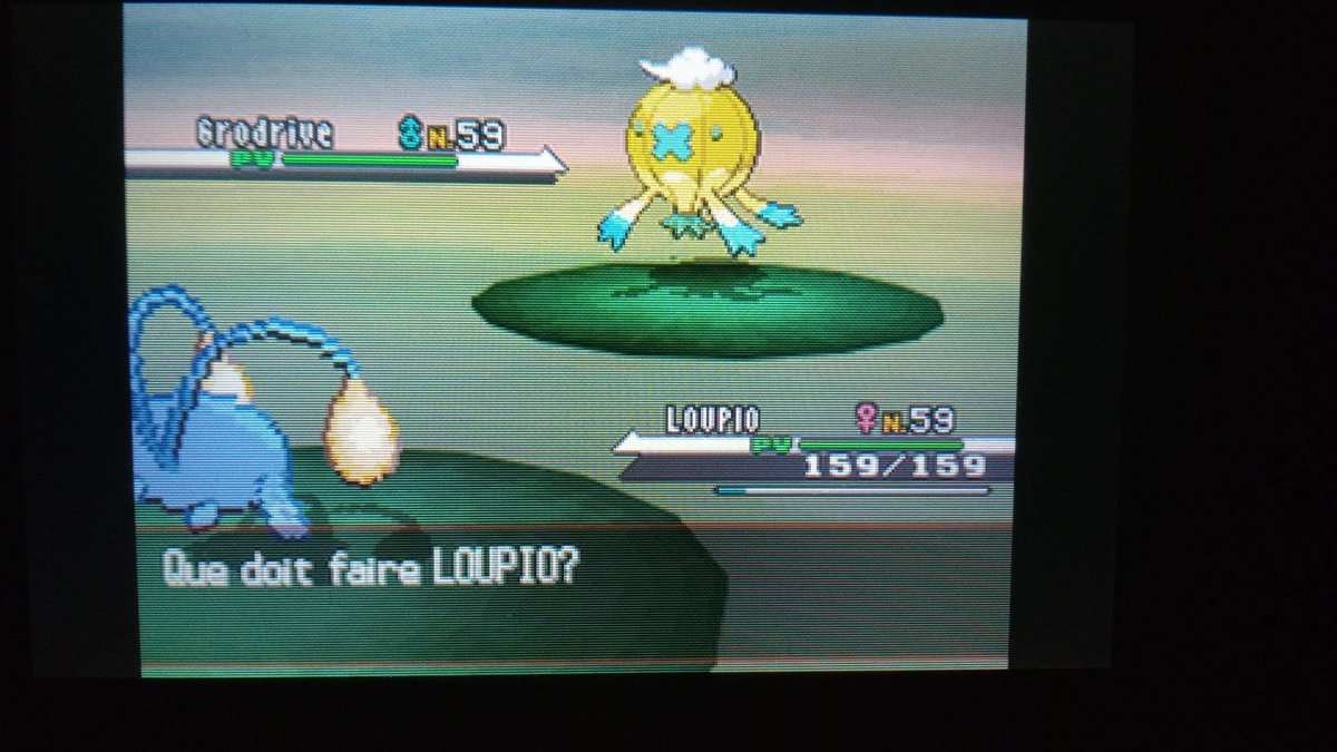IL EST LA ! ! ! ! ! 
GRODRIVE SHINY sur 5G en 4567 rencontres !
Shasse commencée début décembre qui se termine après 7 phases et 53 666 rencontres au total (2 Rondoudou, 3 Akwakwak et 1 Neitram)

Un shiny magnifique qui porte le surnom : Le Pastaga !
A cause de sa couleur ;)