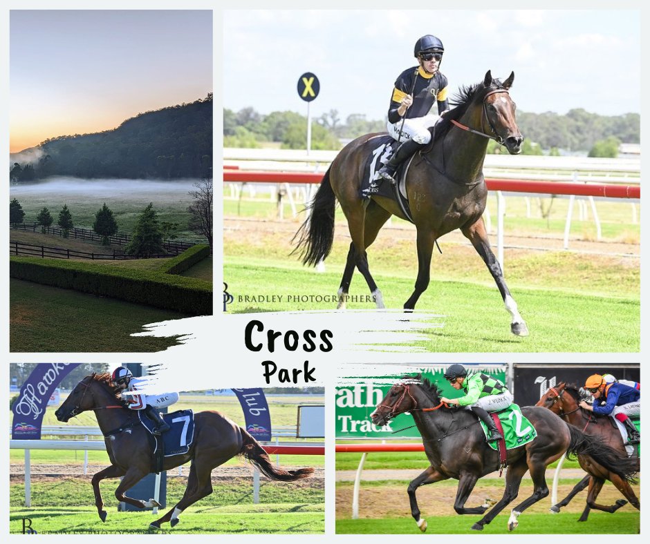 3 winners off the farm in the last week: - Short Shorts (freshen) - Provincial Qualifier win - Akaka Falls (freshen) - Piplup (raised on farm) Congrats to all the owners & well prepared by Brad & team 👏🖤