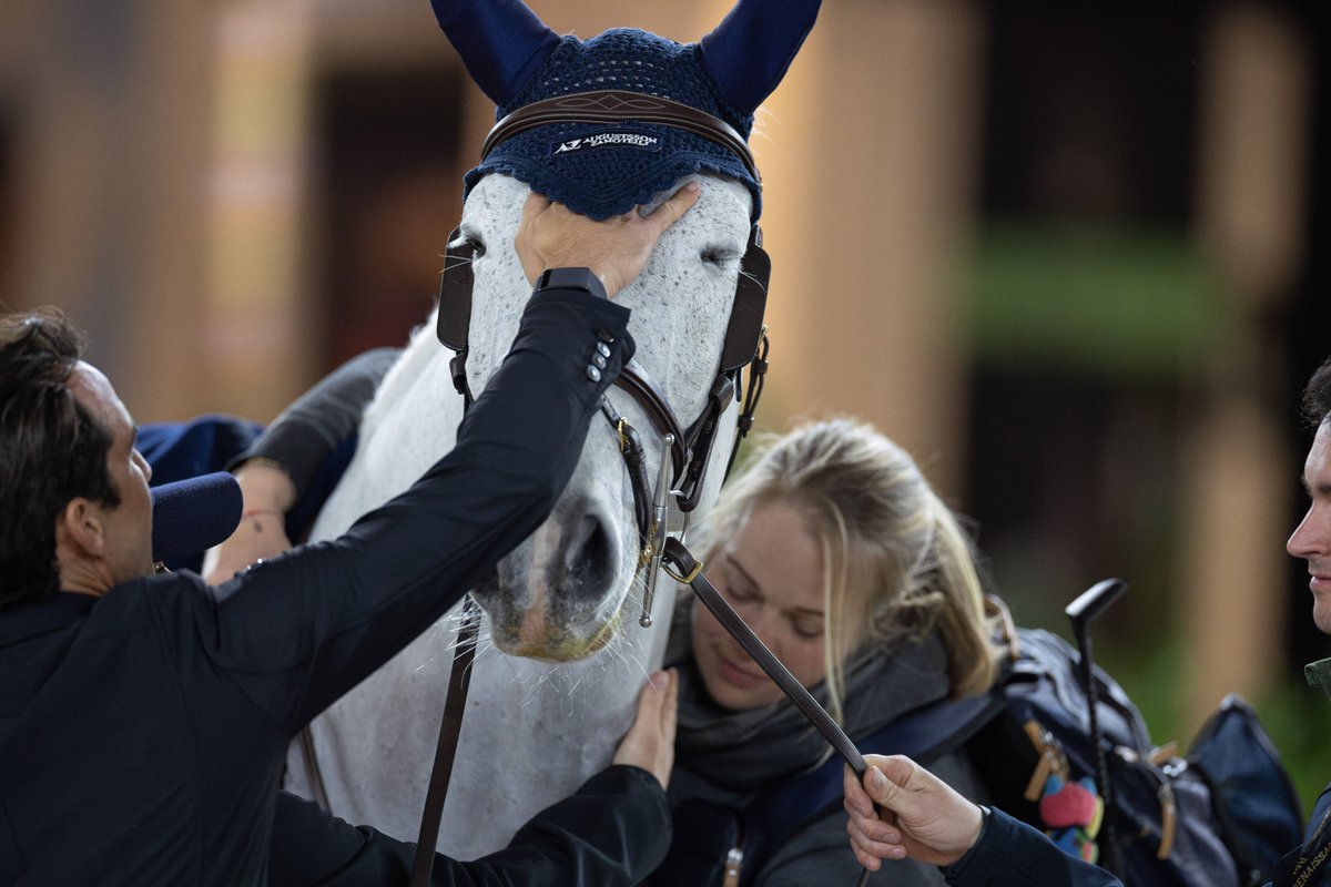 Love is in the air 💛 Marlon Modolo Zanotelli and his horse Cornest claim the Audi Prize after a flawless jump-off 🌟👏

#TheDutchMasters #TDM2024 #RolexGrandSlam #JumpIntoHistory

📸 Remco Veurink
