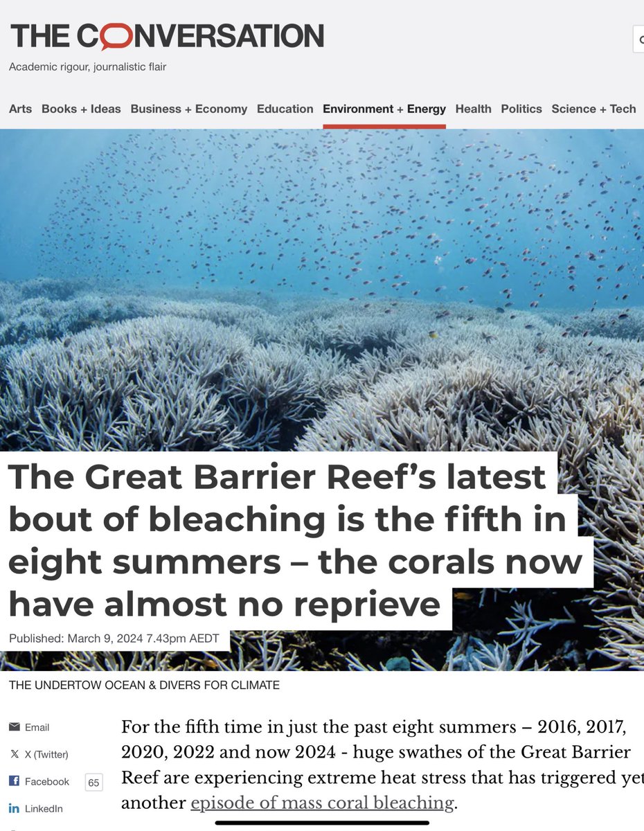 If you’re surprised that the #GreatBarrierReef is experiencing mass coral bleaching and mortality for the 5th time in just 8 years - you haven’t been paying attention. I wrote this brief summary: theconversation.com/the-great-barr…