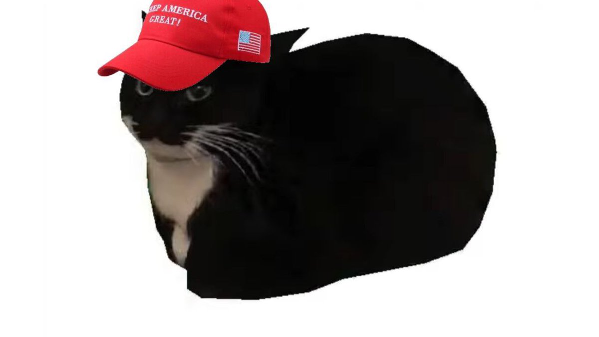 MaxwellCatToken's tweet photo. Me going for president.

Make Cats Great Again. #MCGA 

$CAT https://t.co/2fpCbTc7Hf