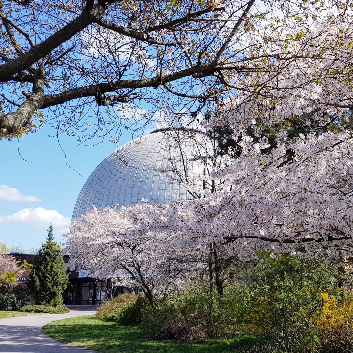 jutta111's tweet photo. Save the date!
Themenabend mit atomaren Filmen und Panel am 21. März.
Eintritt frei.
#icbuw
#iuffberlin
#ialana
#ippnw
#deutscheumweltstiftung https://t.co/RSmIz1qIrF