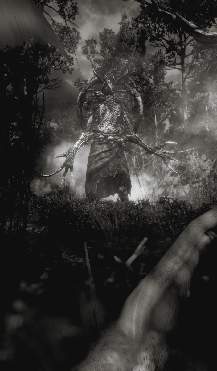 Woodland Spirit #TheWitcher3 #VirtualPhotography