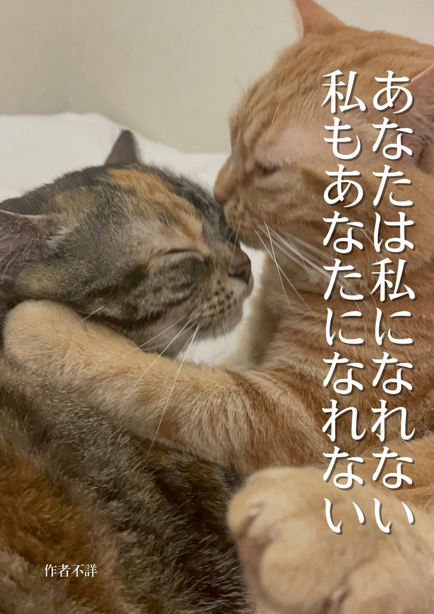 ricasaeki's tweet photo. 今日の名言にゃーん https://t.co/nvgnTnInhn