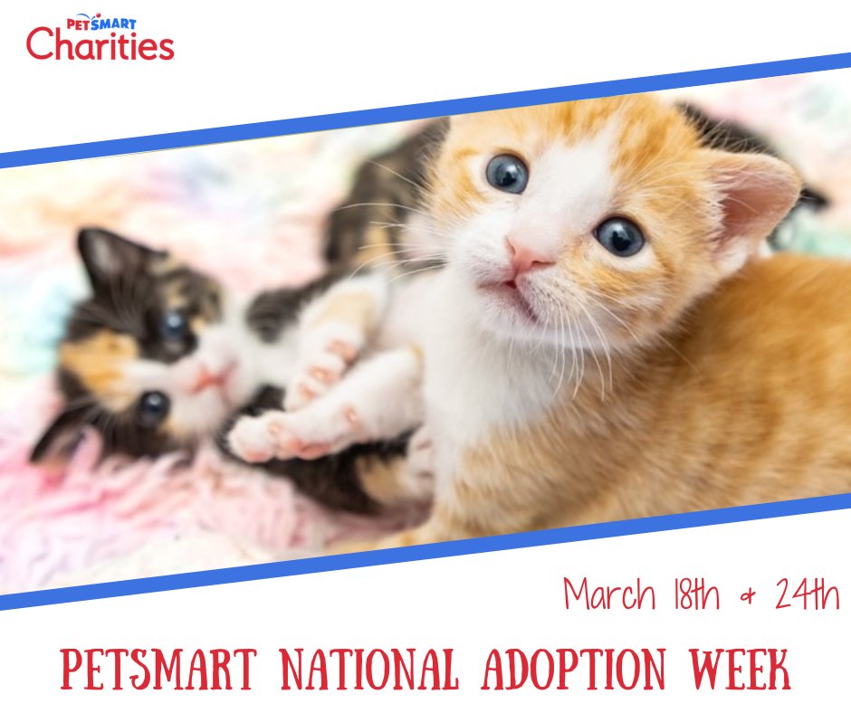 🎉Come join the festivities on March 18th-24th for our 🎈National Adoption Week🎈 where we partner with PetSmart Charities to help reach the goal of 11 million pets adopted! 🚨🚨🚨 #friends #petsmartcharities #petsmart #fwacc #fortworth #pets #hulen