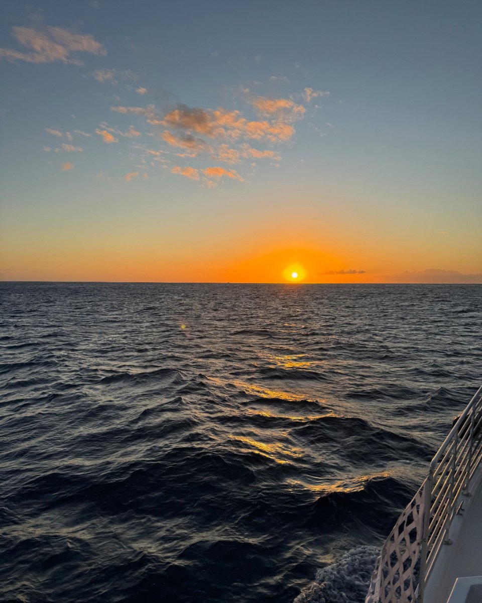 LivingOceanOahu's tweet photo. Join us on our family friendly BYOB Waikiki Sunset Cruise and experience magical views such as these. 🌅 There is truly no better way to enjoy the sunset! 

Call to book at 808-436-3483 or online at https://t.co/UdCn9POI21. 🌊 https://t.co/NifWqD0YGN