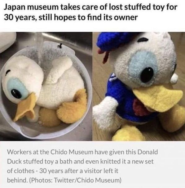 WholesomeMeme's tweet photo. https://t.co/xk6x19N3R7