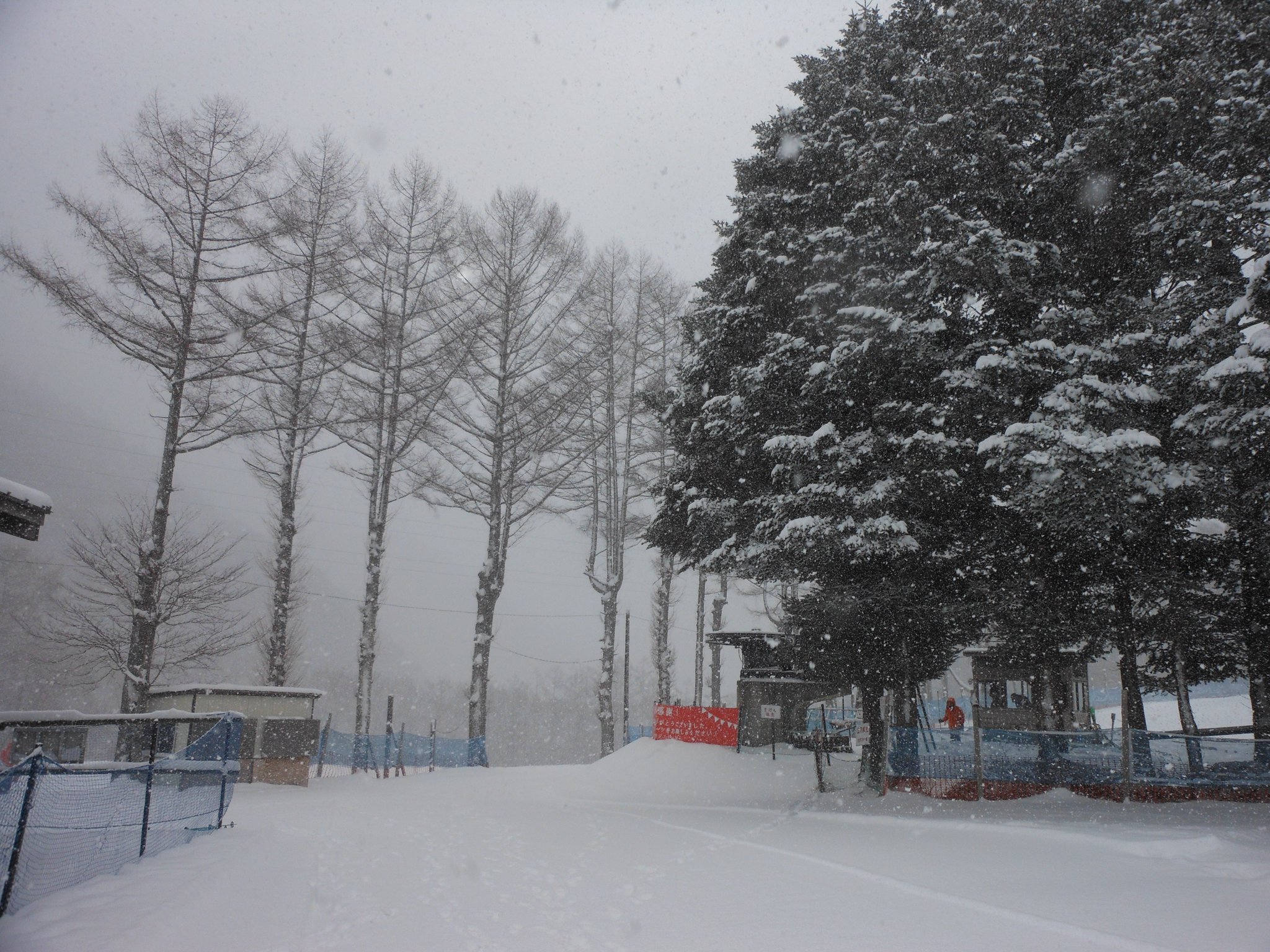 雪の降る朝の赤 アダモ/雪が降る(日本語) 7
