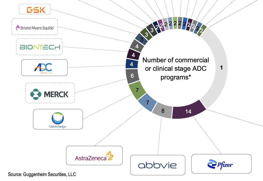 Pfizer has 14 ADC programs in clinic/approved. Followed by AbbVie, AZ,  Daiichi and Merck.