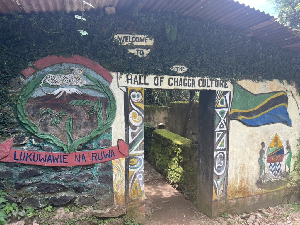 Conor Lees tweet media