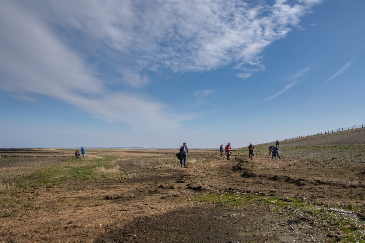 MargreetFrowijn's tweet photo. Vandaag opruimactie bij Balgzand van Landschap Noord-Holland. Ontzettend veel reepjes van plastic bekertjes, priegelige stukjes plastic, nylon pluis visserij en nog heel veel meer. Volgende week weer opruimen NLdoet in Zwanenwater. #opruimen #zwerfafval #balgzand @landschapnh https://t.co/OMOqNS9MWX
