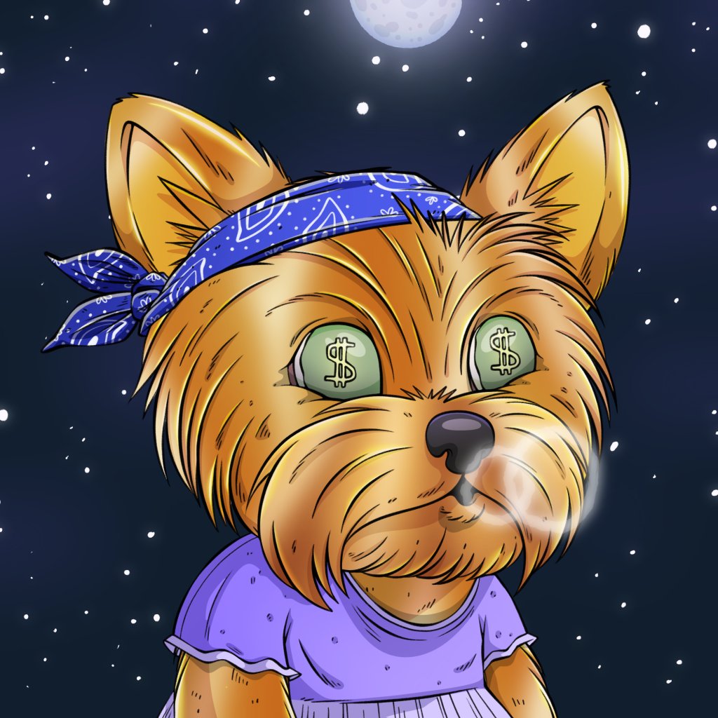 The Kimbo Space Program takes Kimbros to the moon  🌕🚀

<a href="/avax/">Avalanche🔺</a> $KIMBO <a href="/KimboAvax/">Kimbo</a>