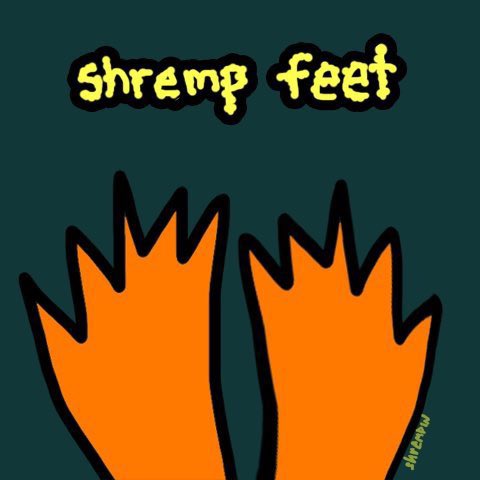shrempin 🎬 tweet media