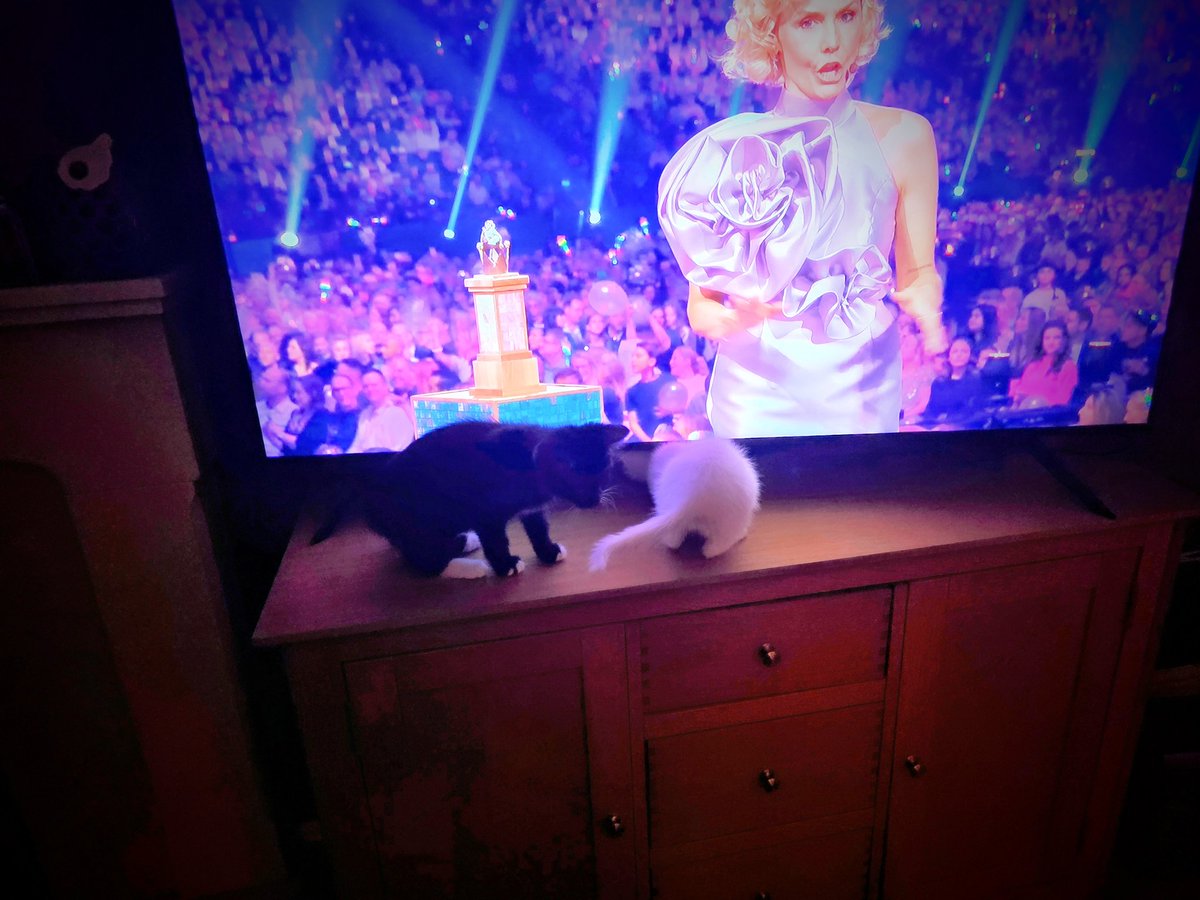 pdtheone's tweet photo. Introducing Melfest to my friends Matt and Richard in Nottingham UK (and their kittens Shadowfax and Wesley) #melfestworld https://t.co/gTuEUonFMR
