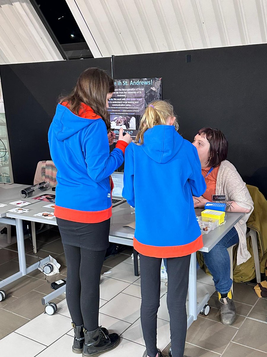 NVC group tweet media