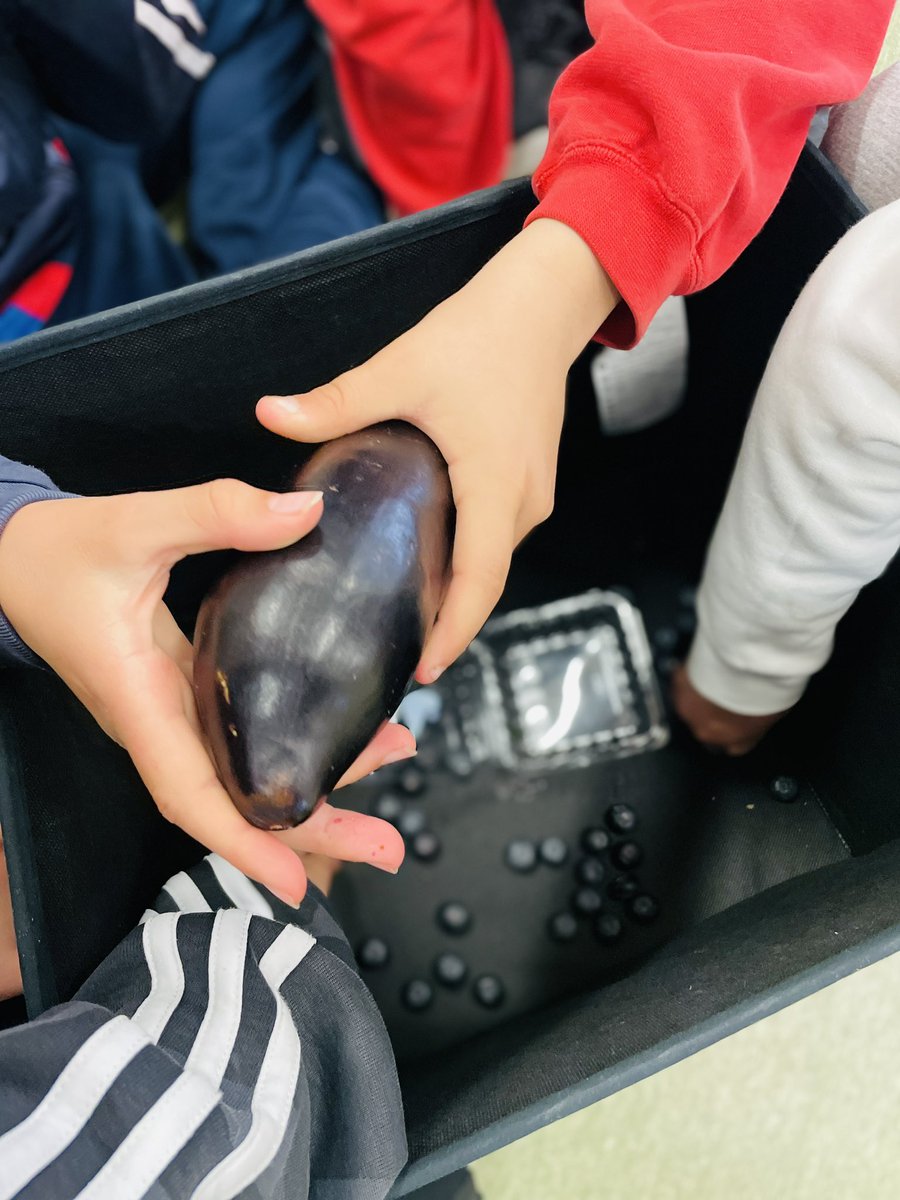 fragosusmarkus's tweet photo. Exploració i descoberta sensorial cromàtica. Quina olor, quin gust, quin tacte i quin so tenen els colors? Podem prescindir de la vista per treballar el cromatisme? Sensacions de tots colors #somprojecte #somCamins @escolacamins https://t.co/I1mBsqIiAD